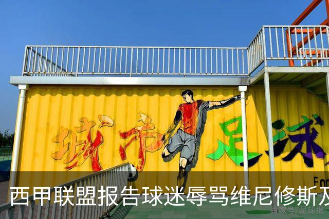 西甲联盟报告球迷辱骂维尼修斯及其他事件